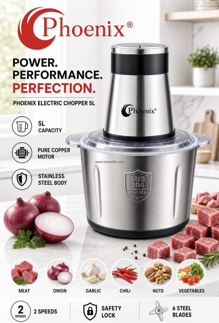 Phoenix 5L Electric Food Chopper – Stainless Steel, 6 Blades, 2 Speeds